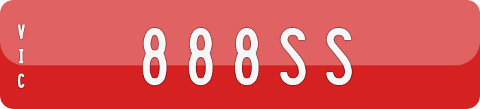 888SS